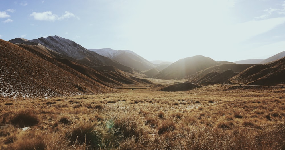 brown grass field near mountains during daytime