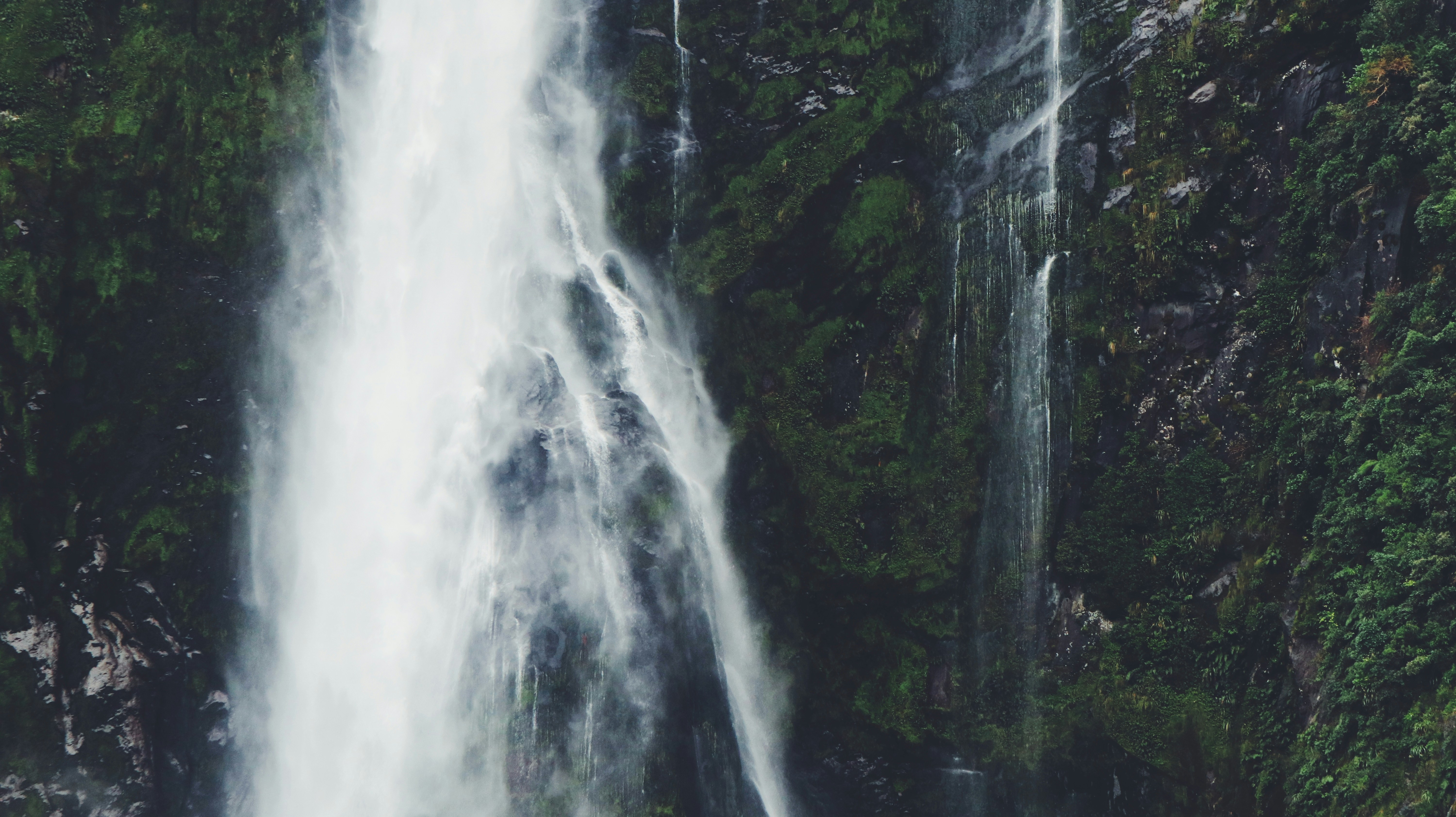 Photo by ginevraustine