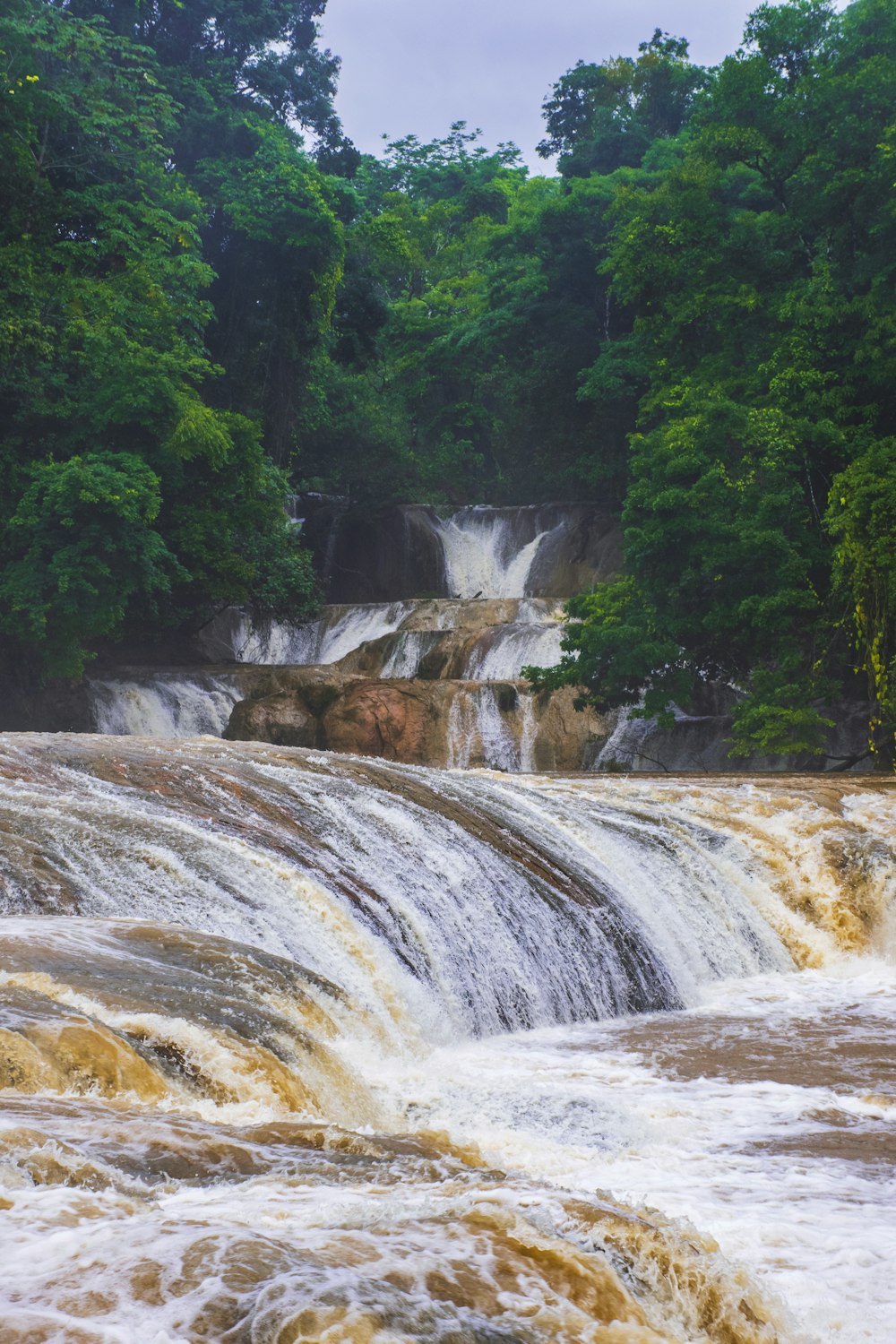 waterfalls in forest during daytime