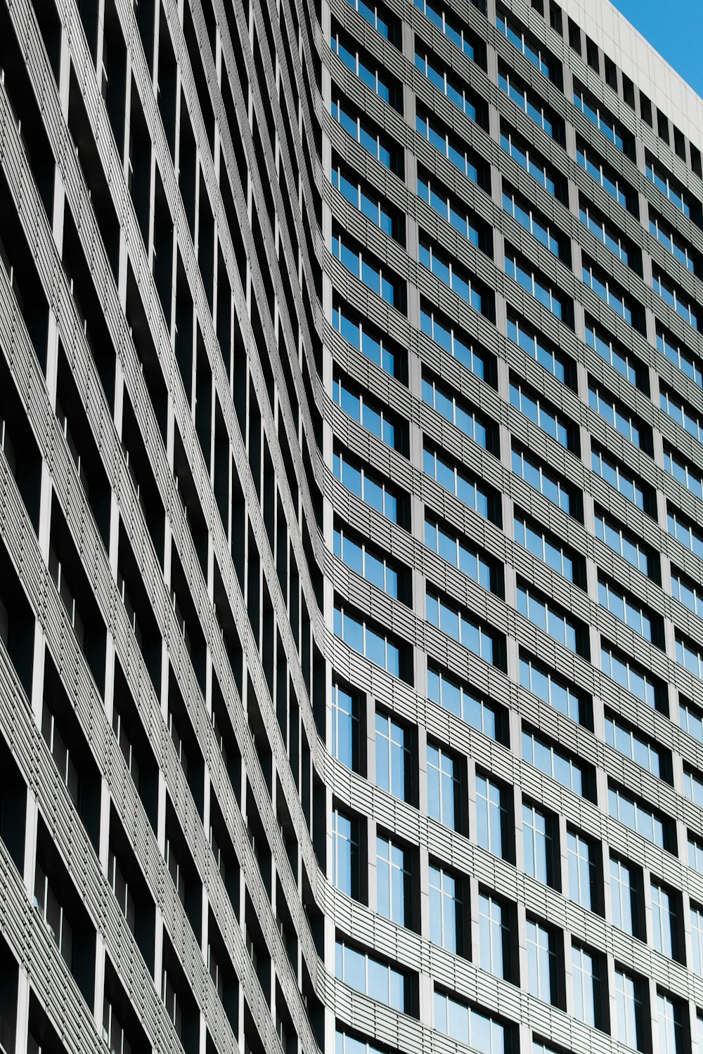 white and black striped textile