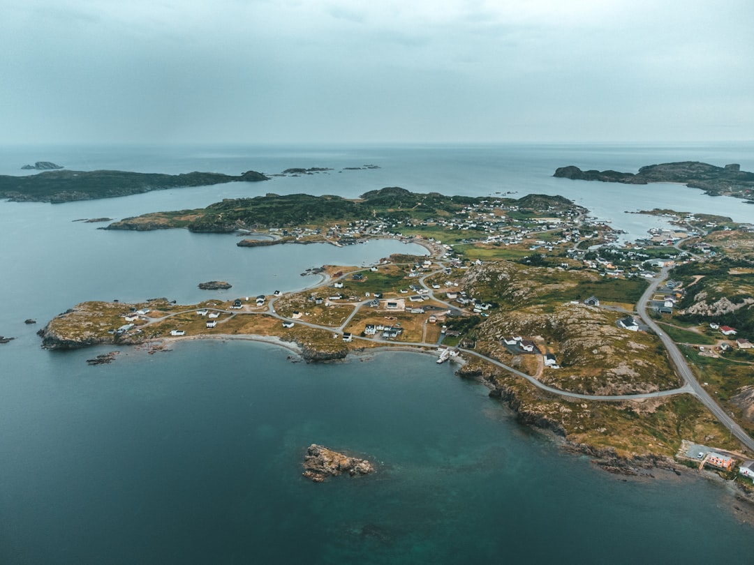 aerial view of green and brown island