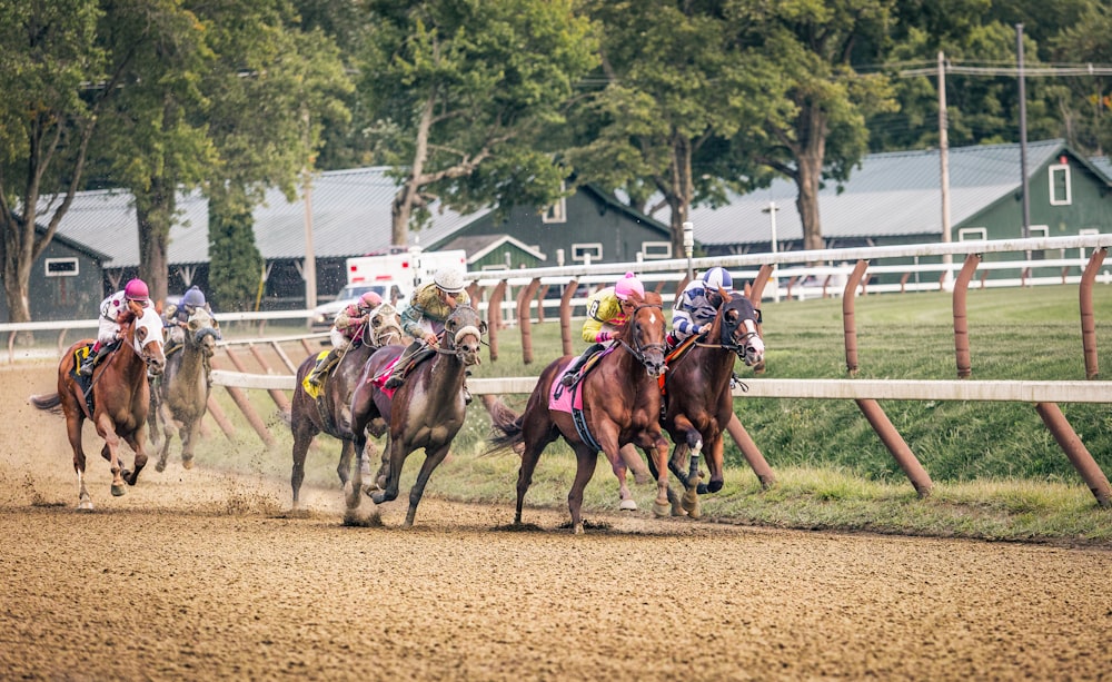 people riding horses on brown field during daytime