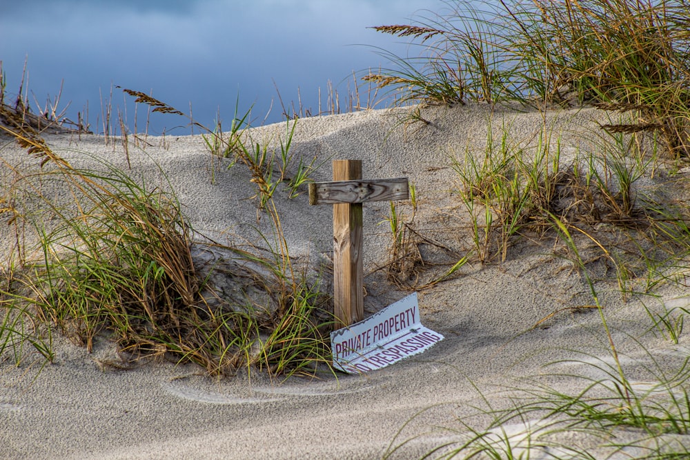 white wooden signage on gray sand