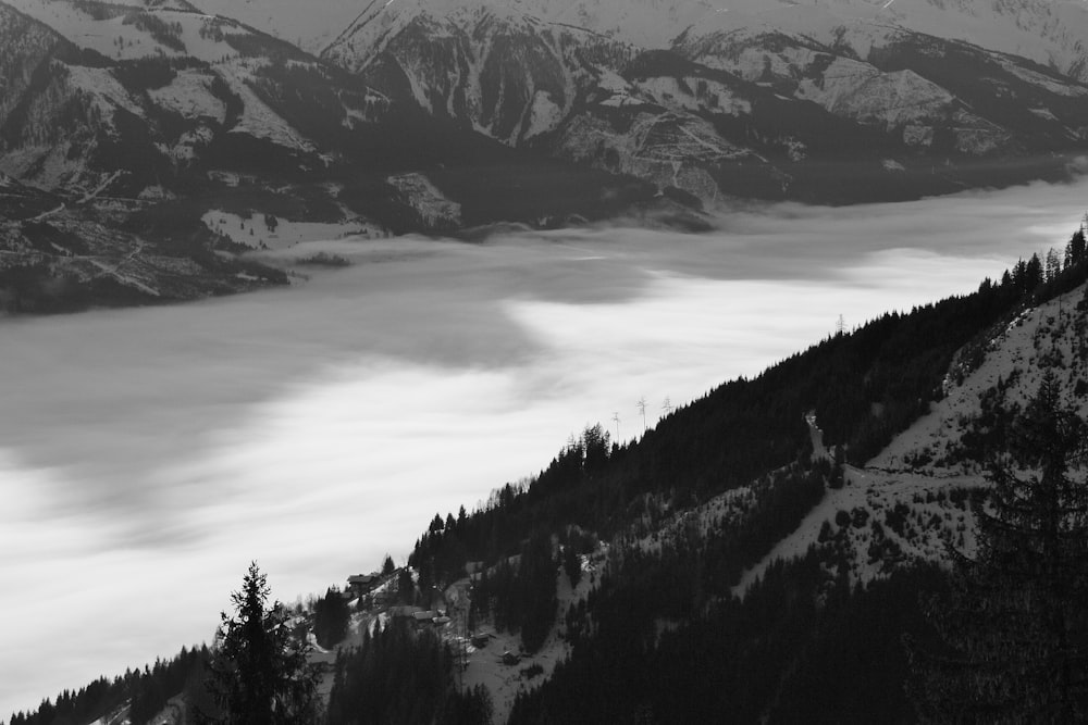 grayscale photo of mountains and trees