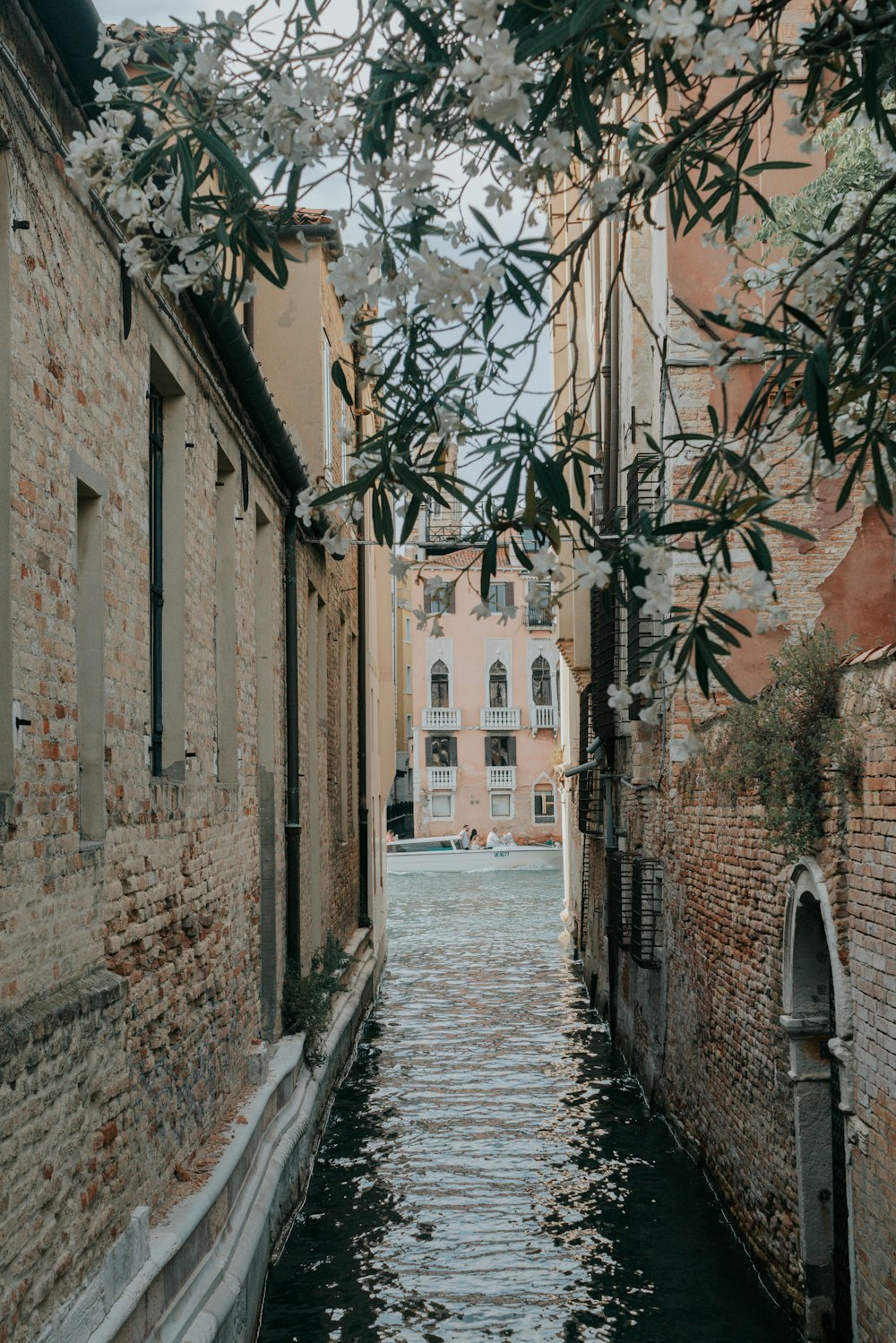 river between concrete buildings during daytime