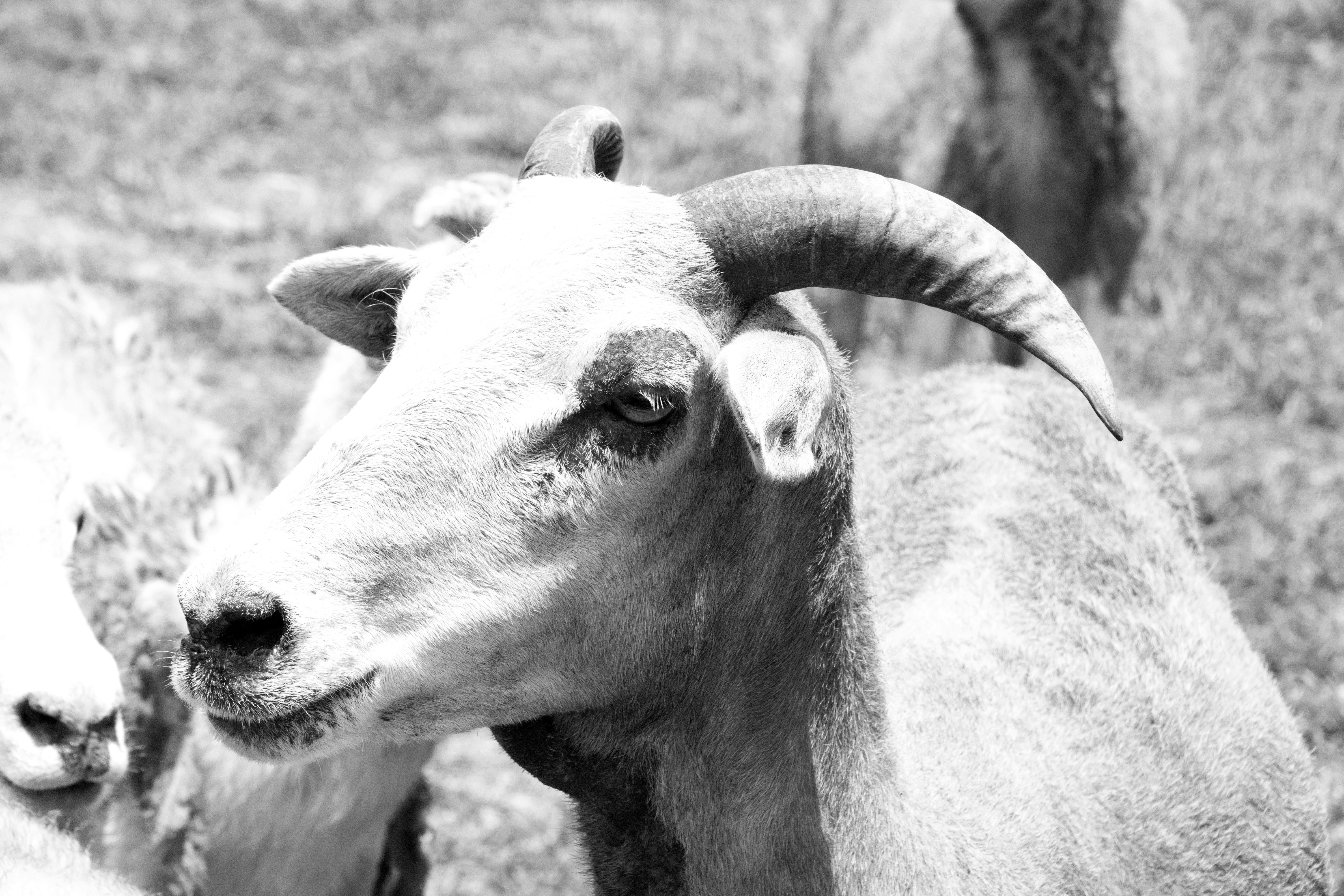 Photo by longlivehaas