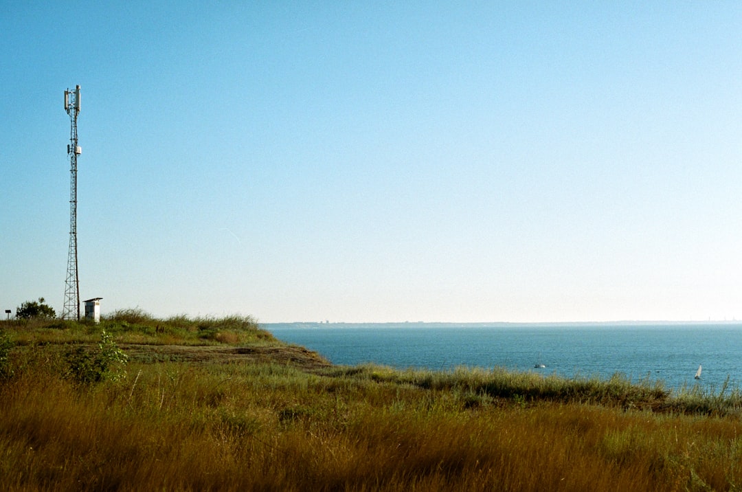 green grass field near body of water during daytime