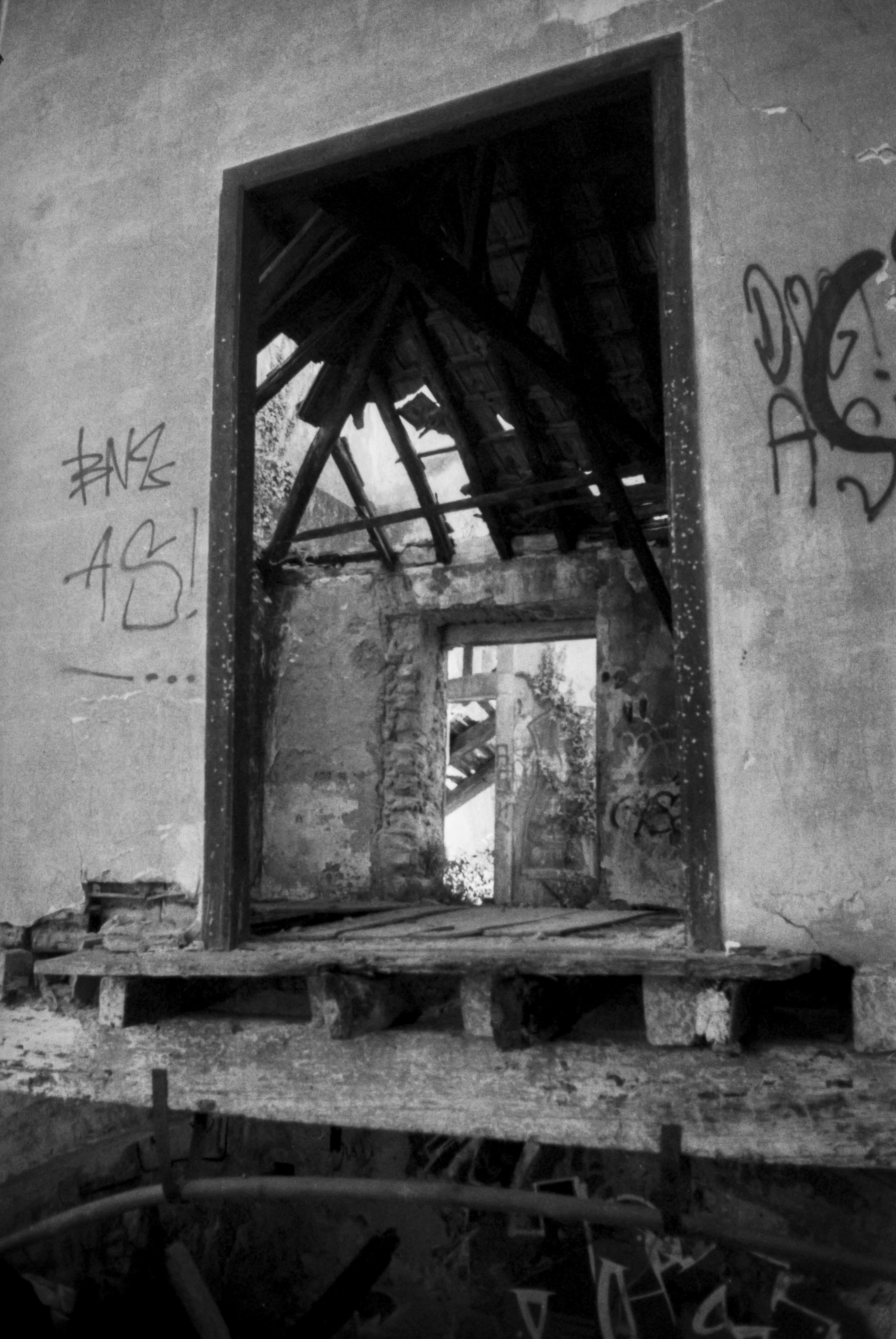 Photo by jarrydwafer