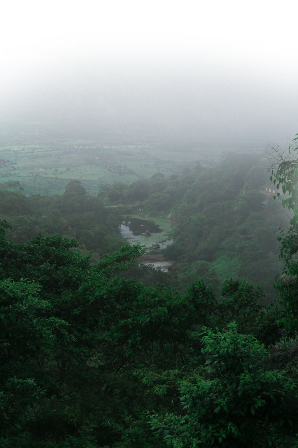 green trees and mountains during daytime