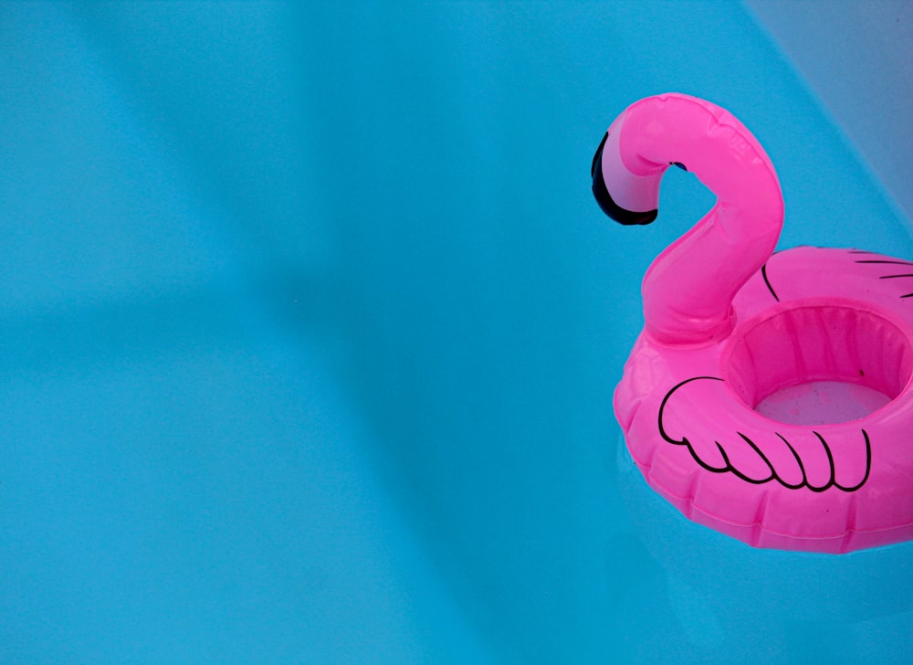 pink inflatable flamingo on blue water