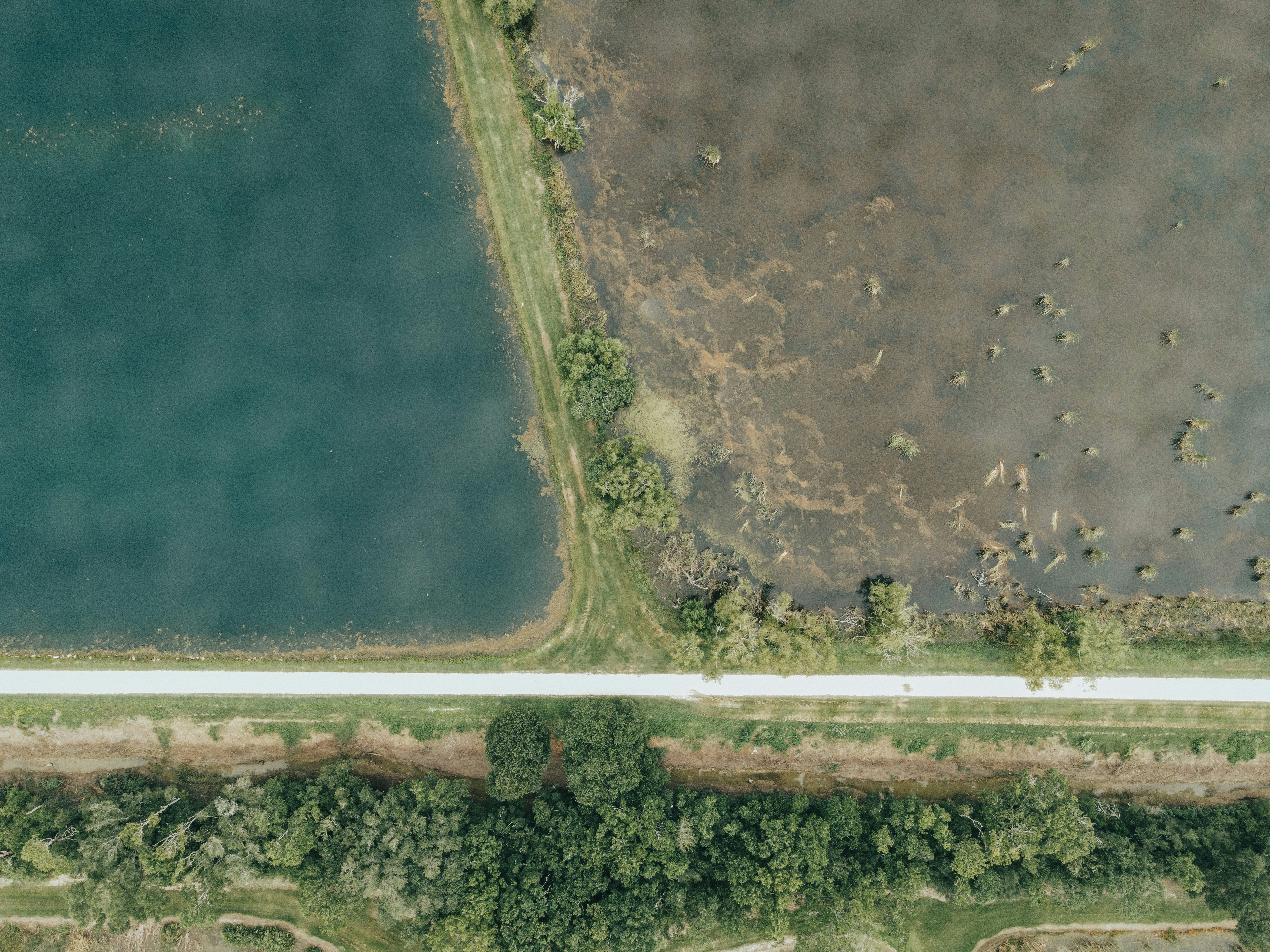 Photo by terrenhurst