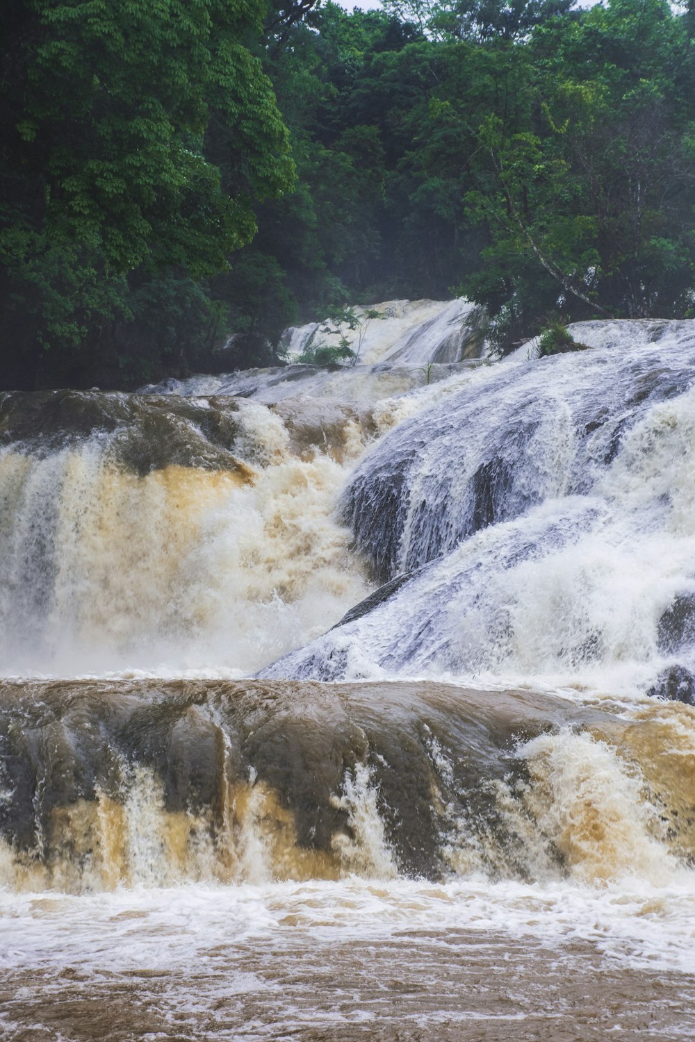 water falls in forest during daytime