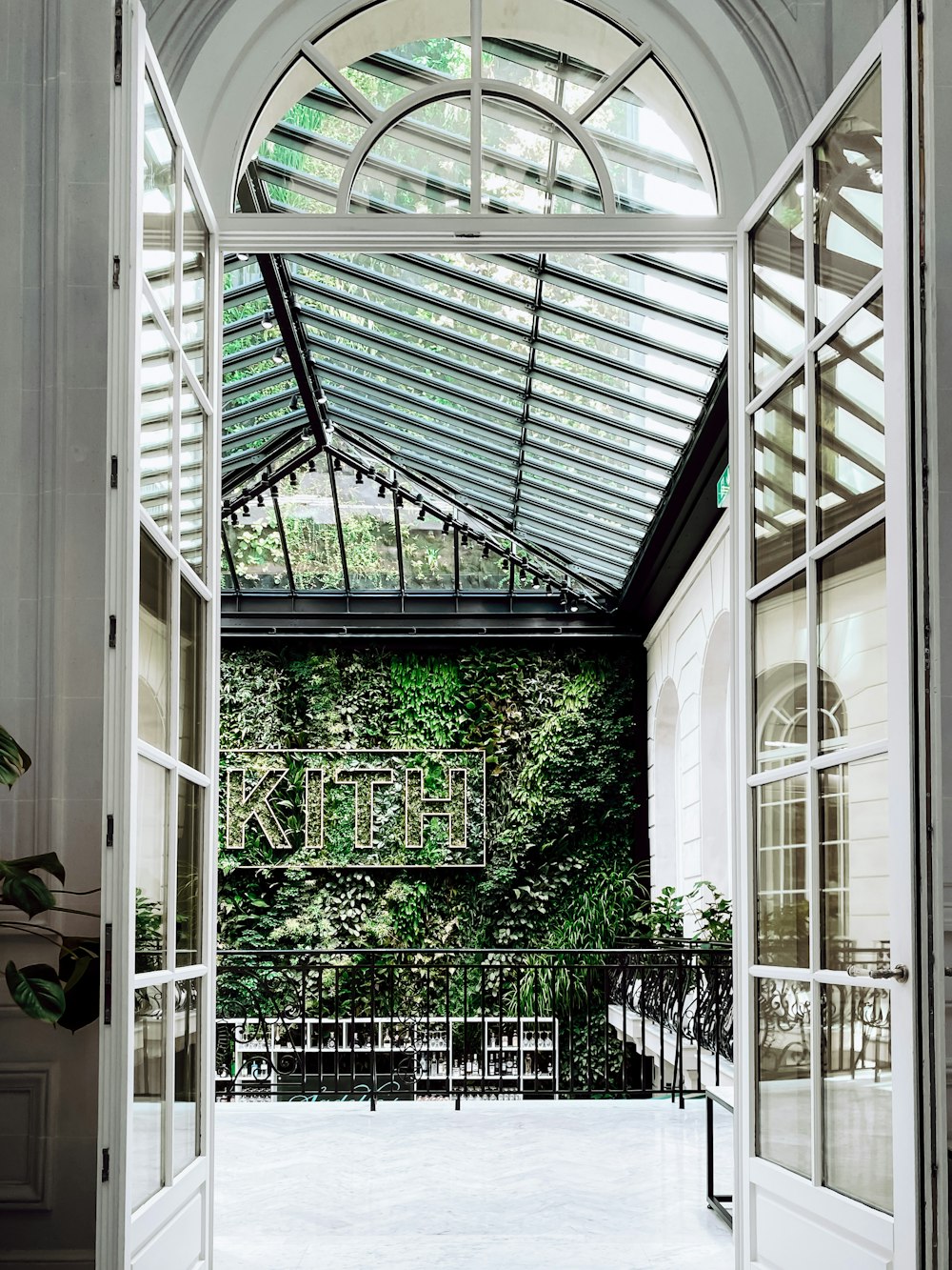 green plants on white wooden frame