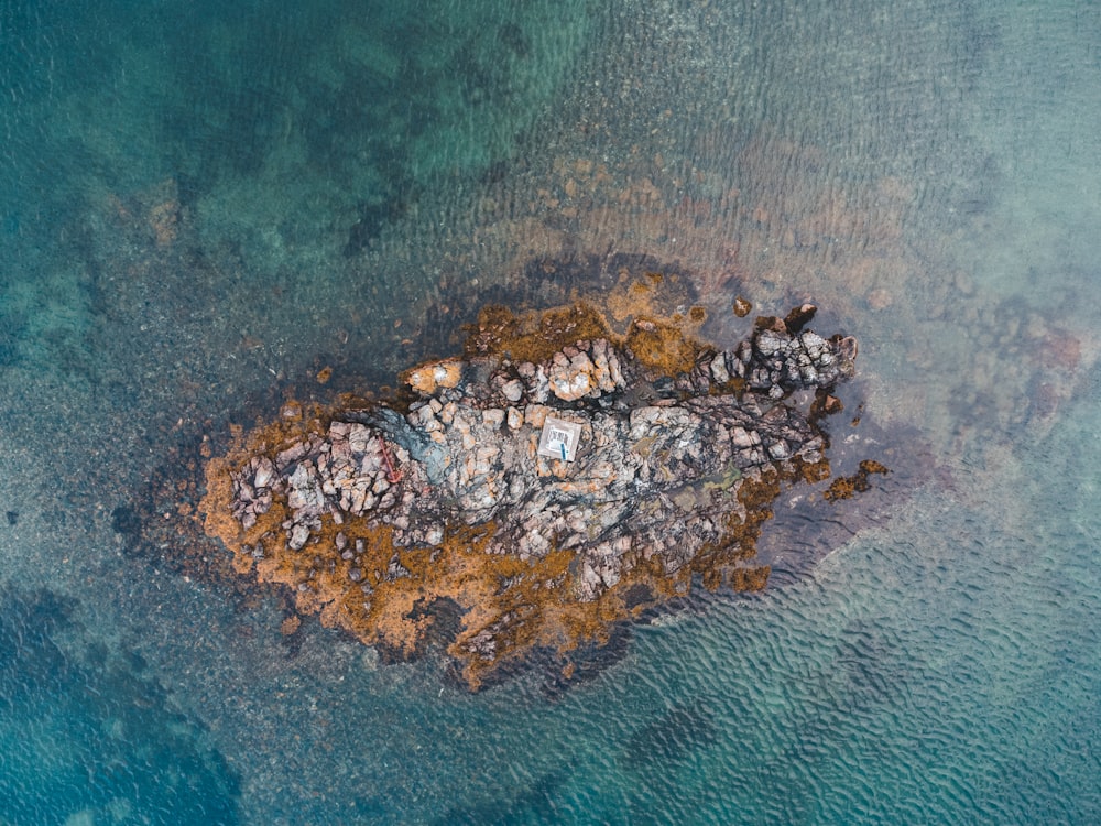 brown and green rock formation on body of water