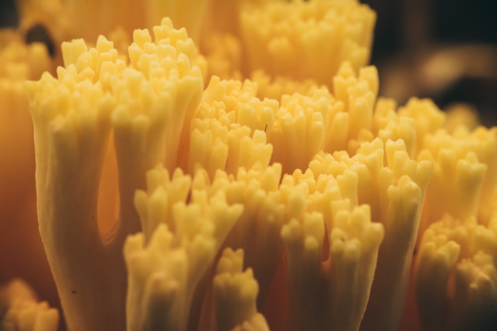 yellow plastic container lot in close up photography