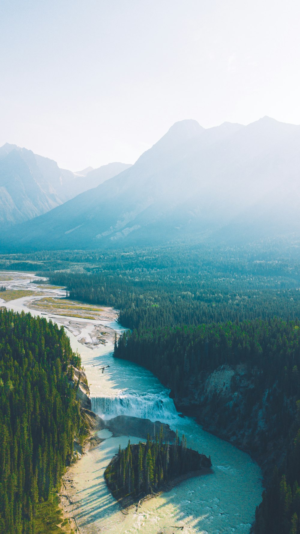 green trees near body of water during daytime