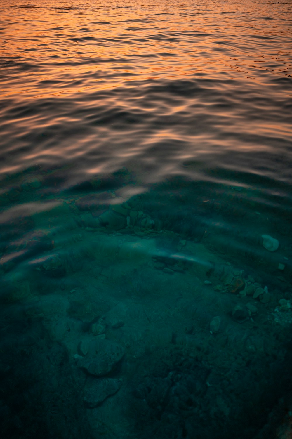 body of water during daytime