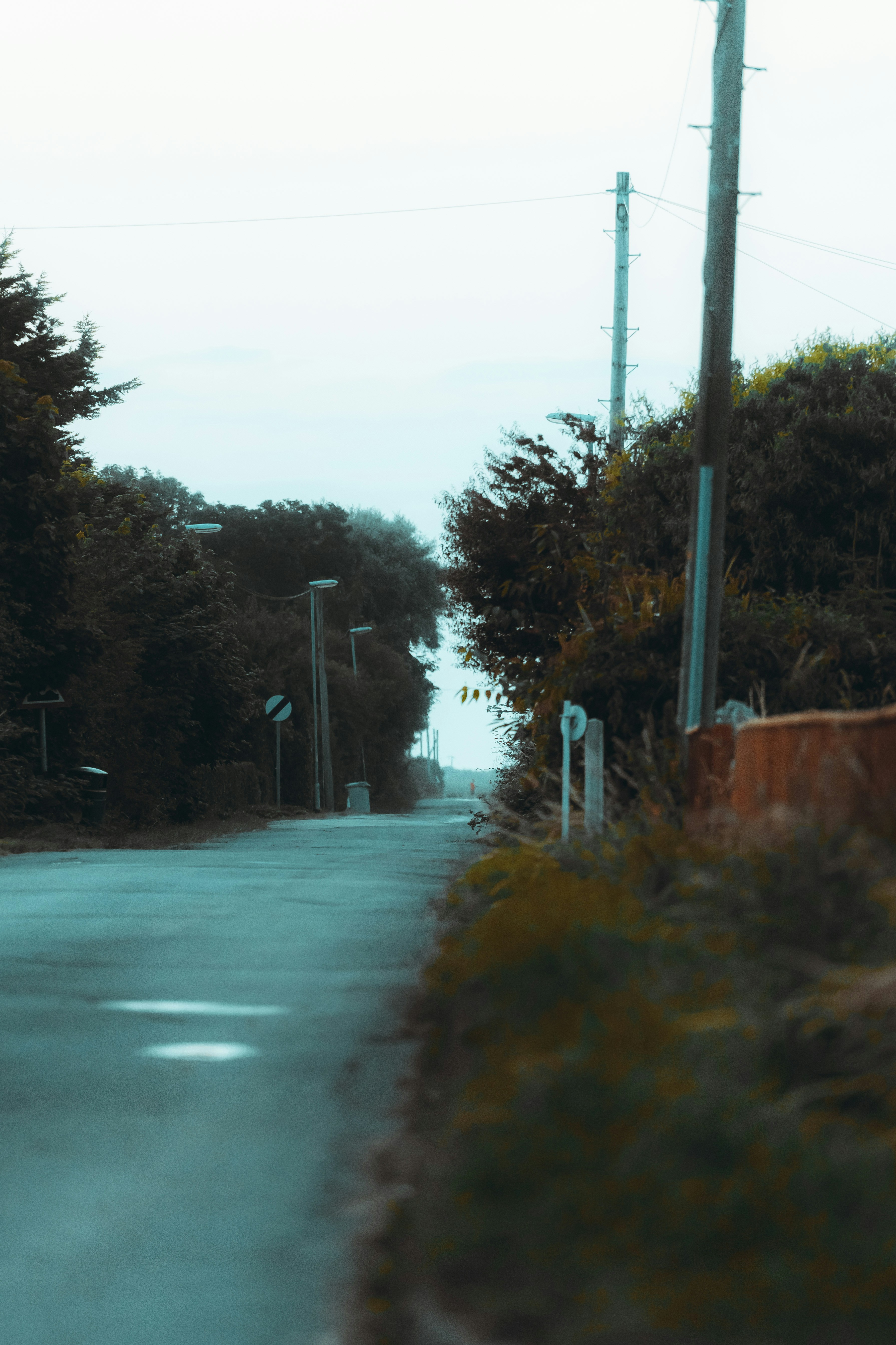 Photo by prv_petersharry01