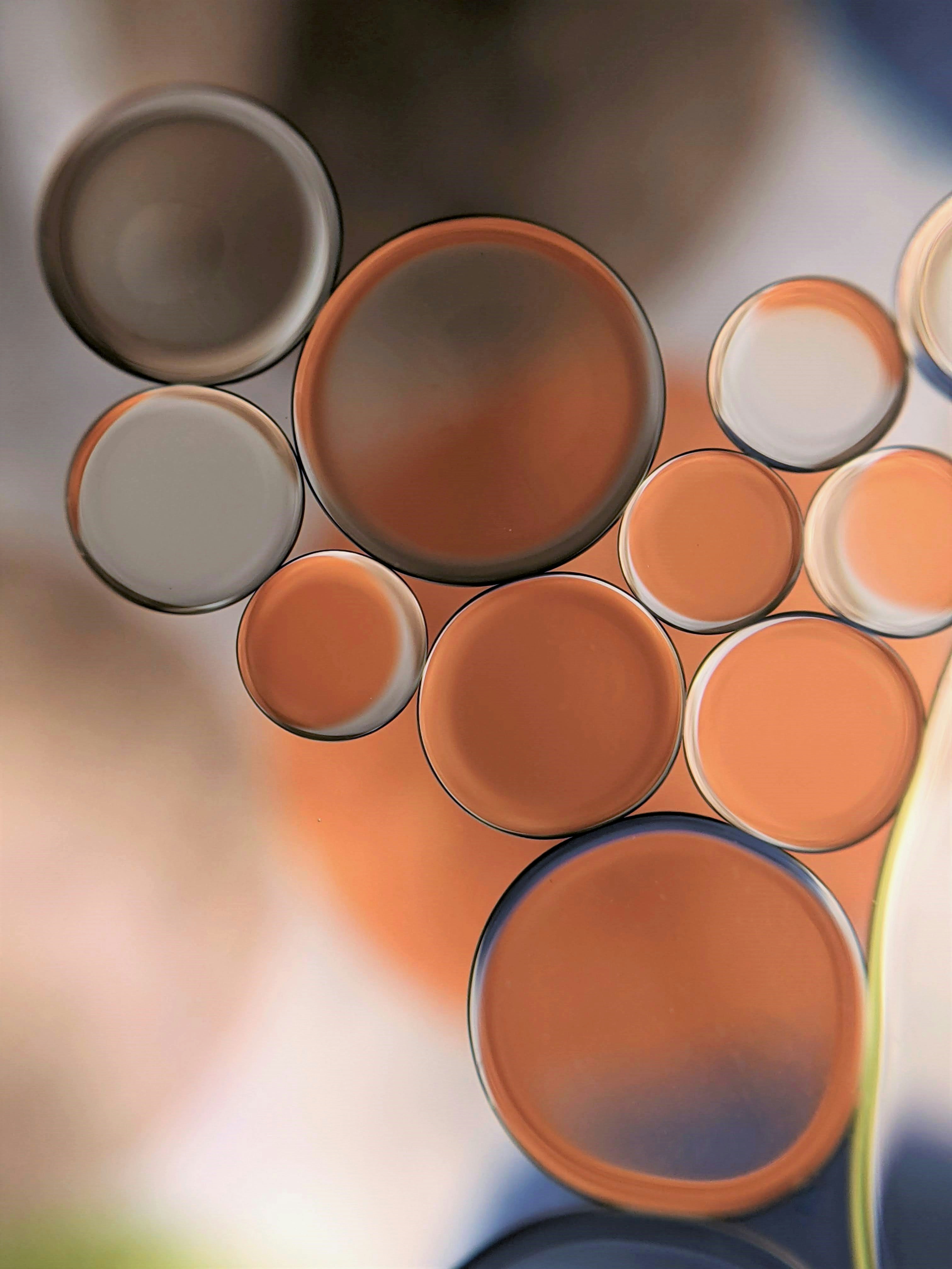 orange and white round plastic cups