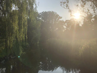 Sunlight filtering through the trees onto a quiet pond where a veteran reflects.
