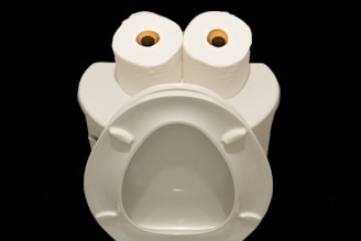 A creative arrangement resembling a face is made from a toilet with two rolls of toilet paper on the top. The toilet is open, and the rolls are placed in a way that they mimic eyes, making the seat cover resemble a mouth or face.