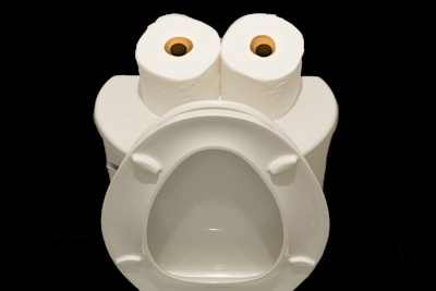 A creative arrangement resembling a face is made from a toilet with two rolls of toilet paper on the top. The toilet is open, and the rolls are placed in a way that they mimic eyes, making the seat cover resemble a mouth or face.