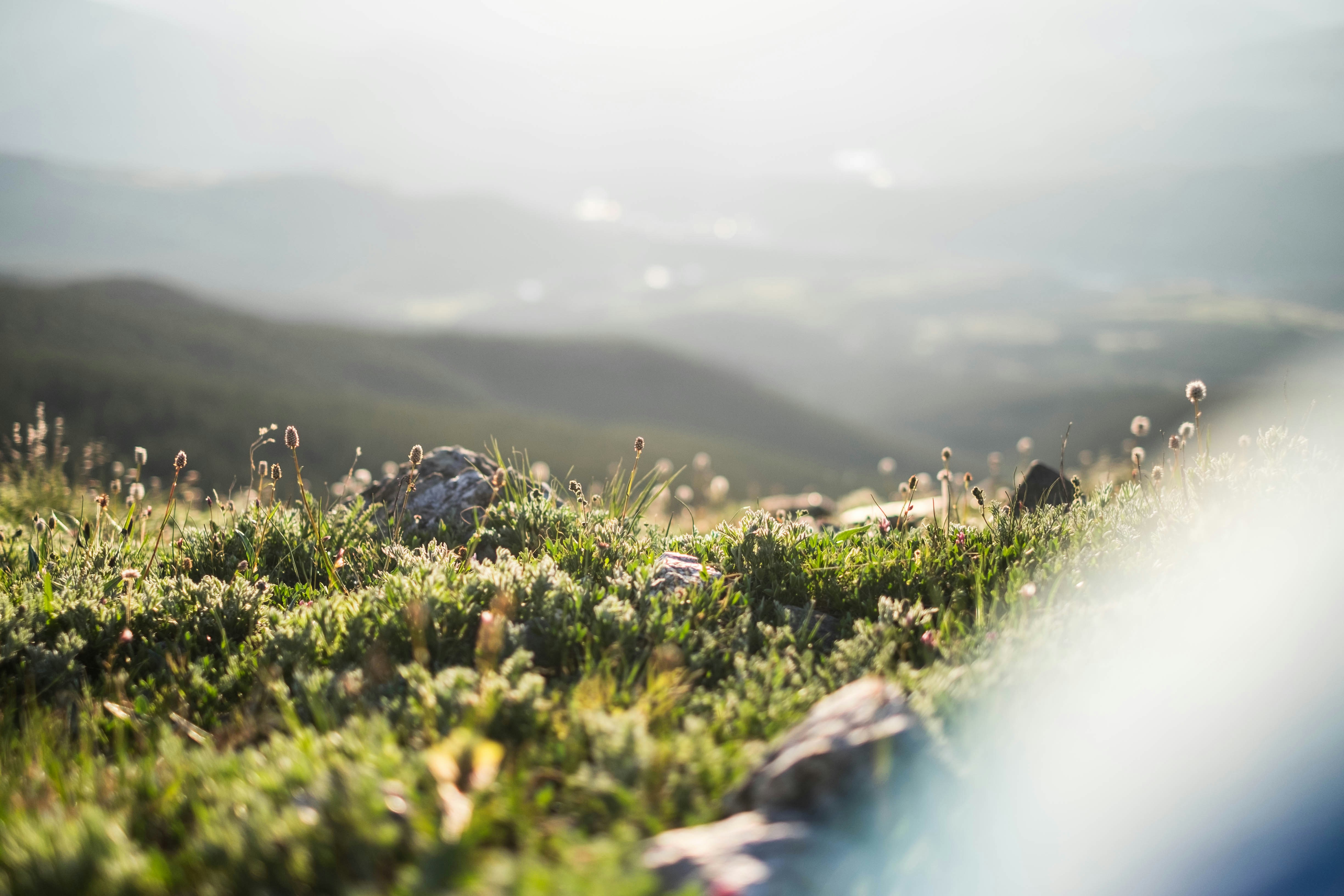 Photo by benjamin_deyoung