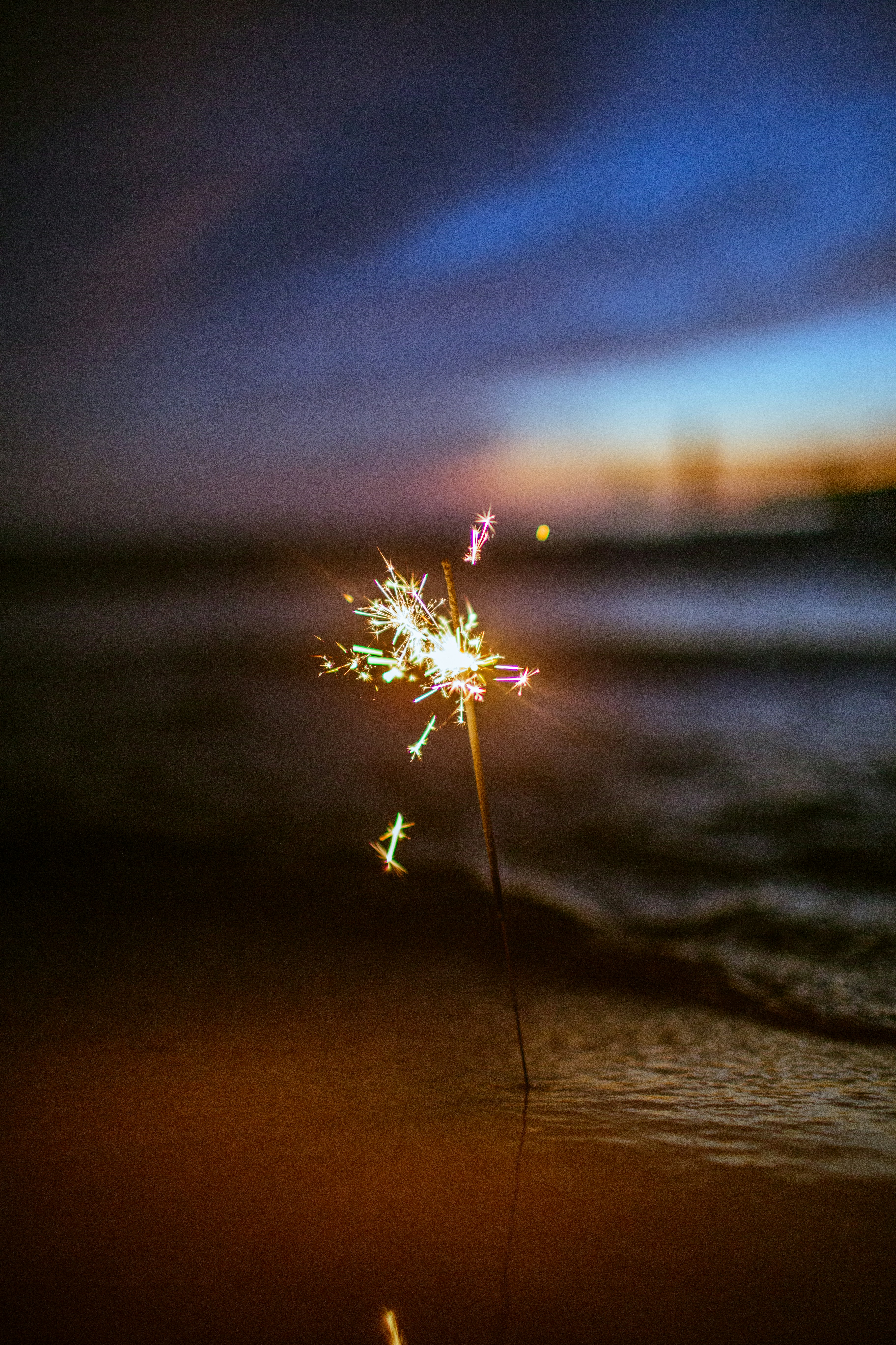 yellow dandelion on gray sand during sunset