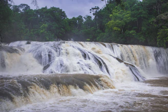 waterfalls near green trees during daytime