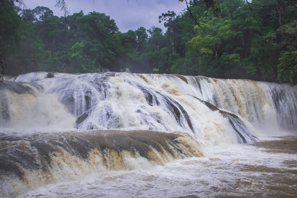 waterfalls near green trees during daytime