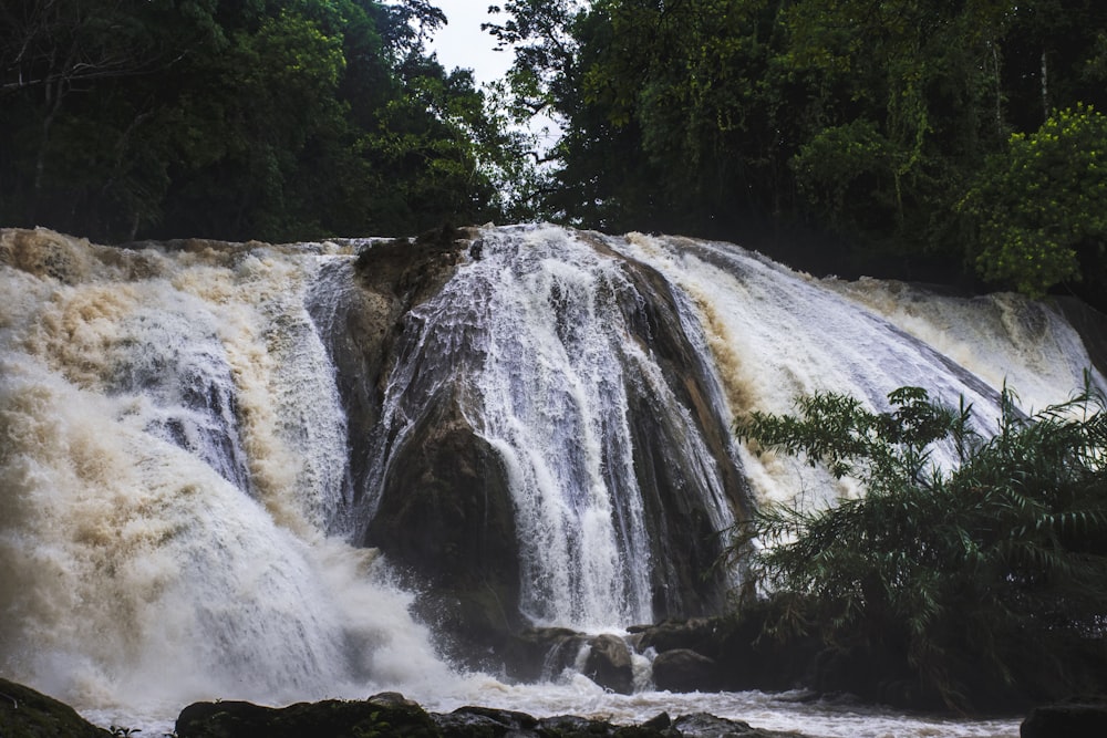 waterfalls in the middle of forest during daytime