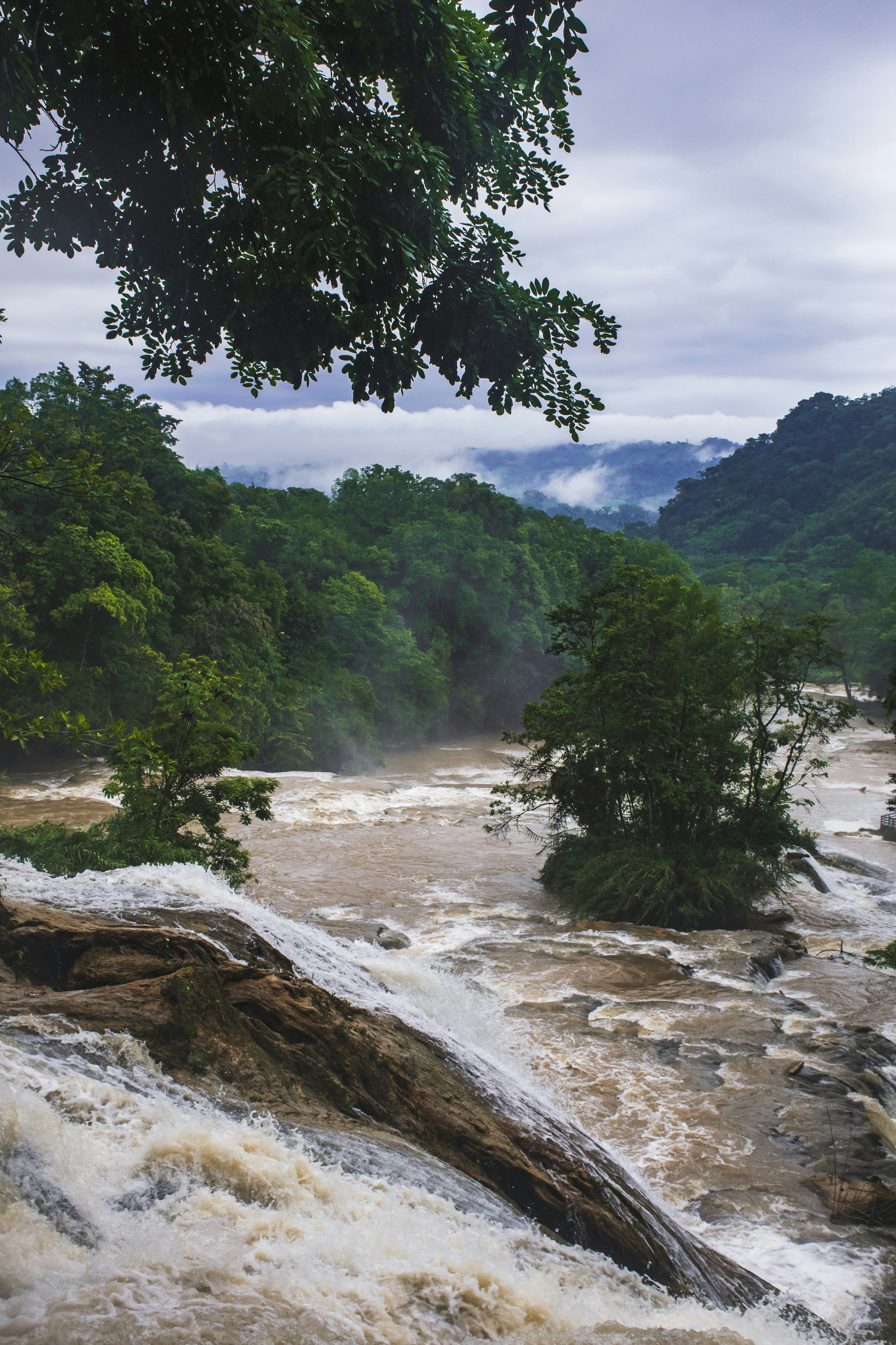 Photo by gabrielrana