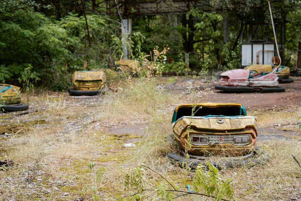 brown car parked on green grass field during daytime