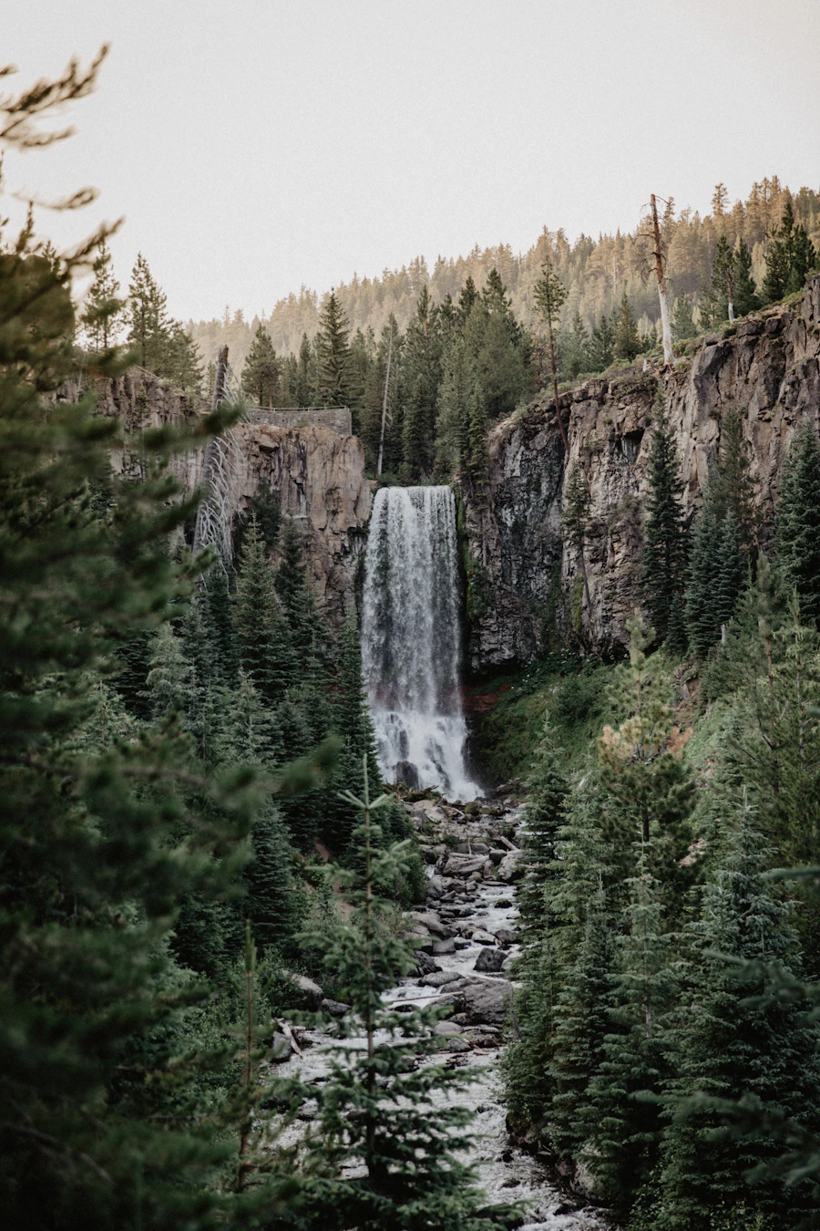 A waterfall in a forested canyon
