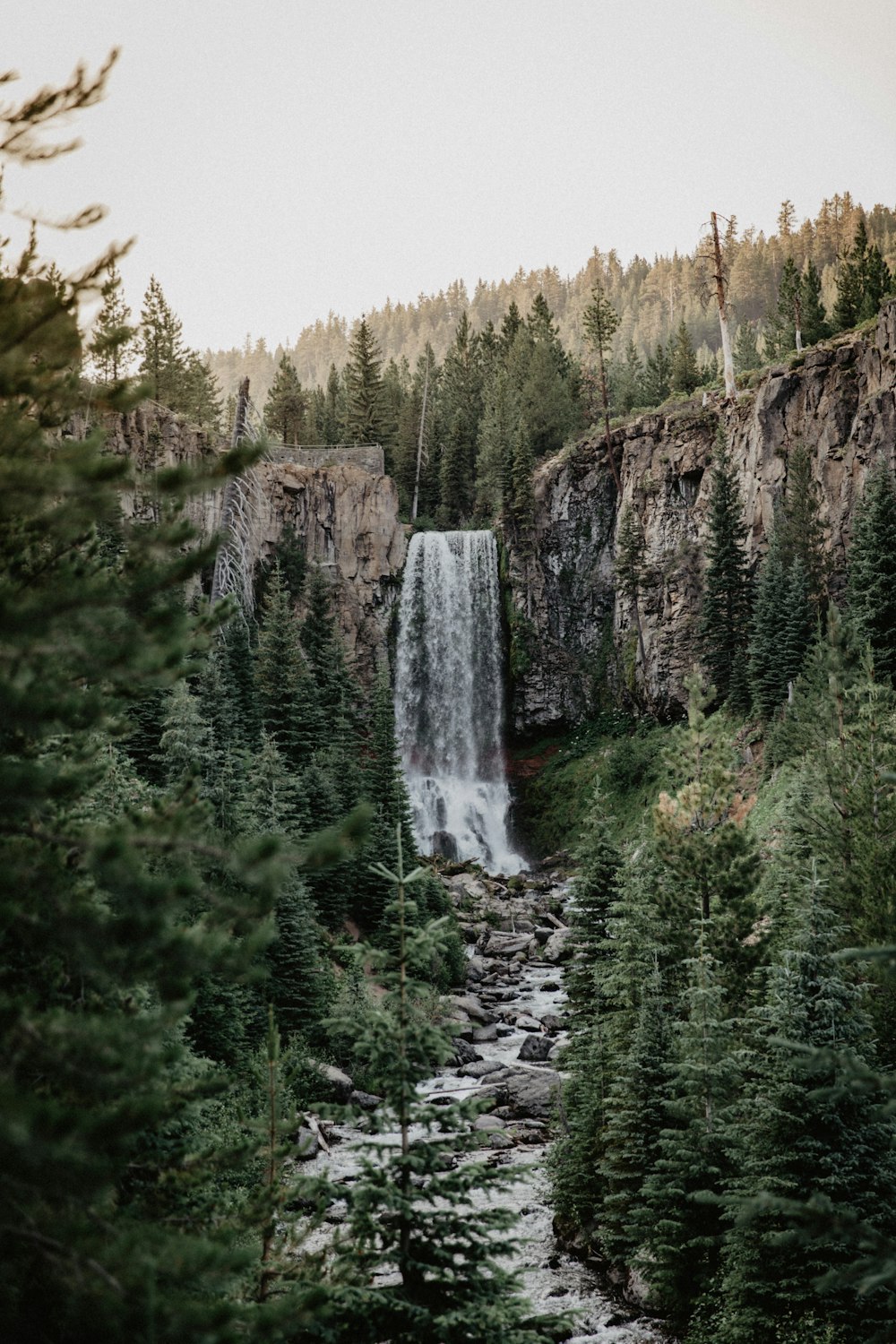 Árboles verdes cerca de cascadas durante el día