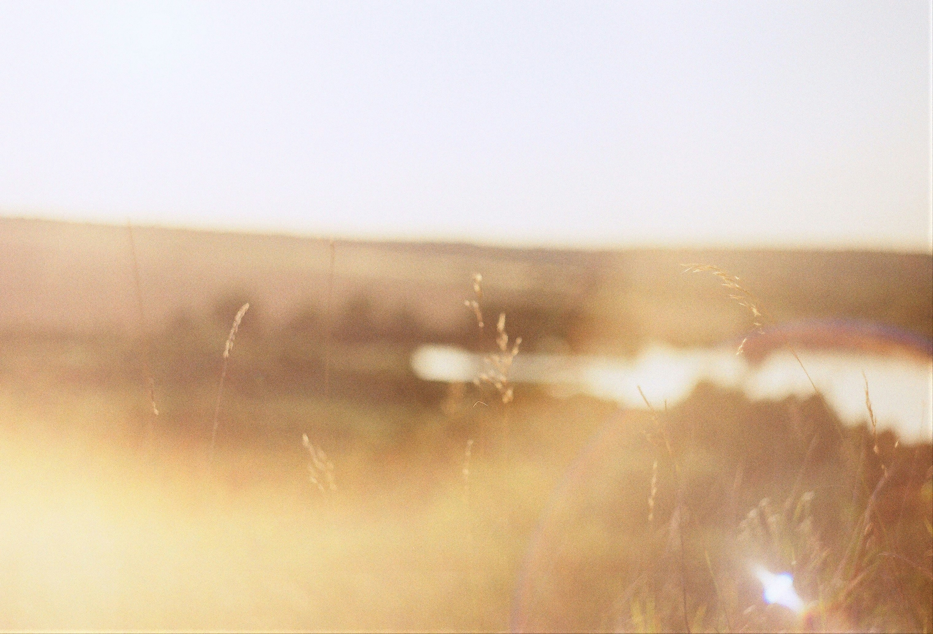 Photo by olgaanoshkina