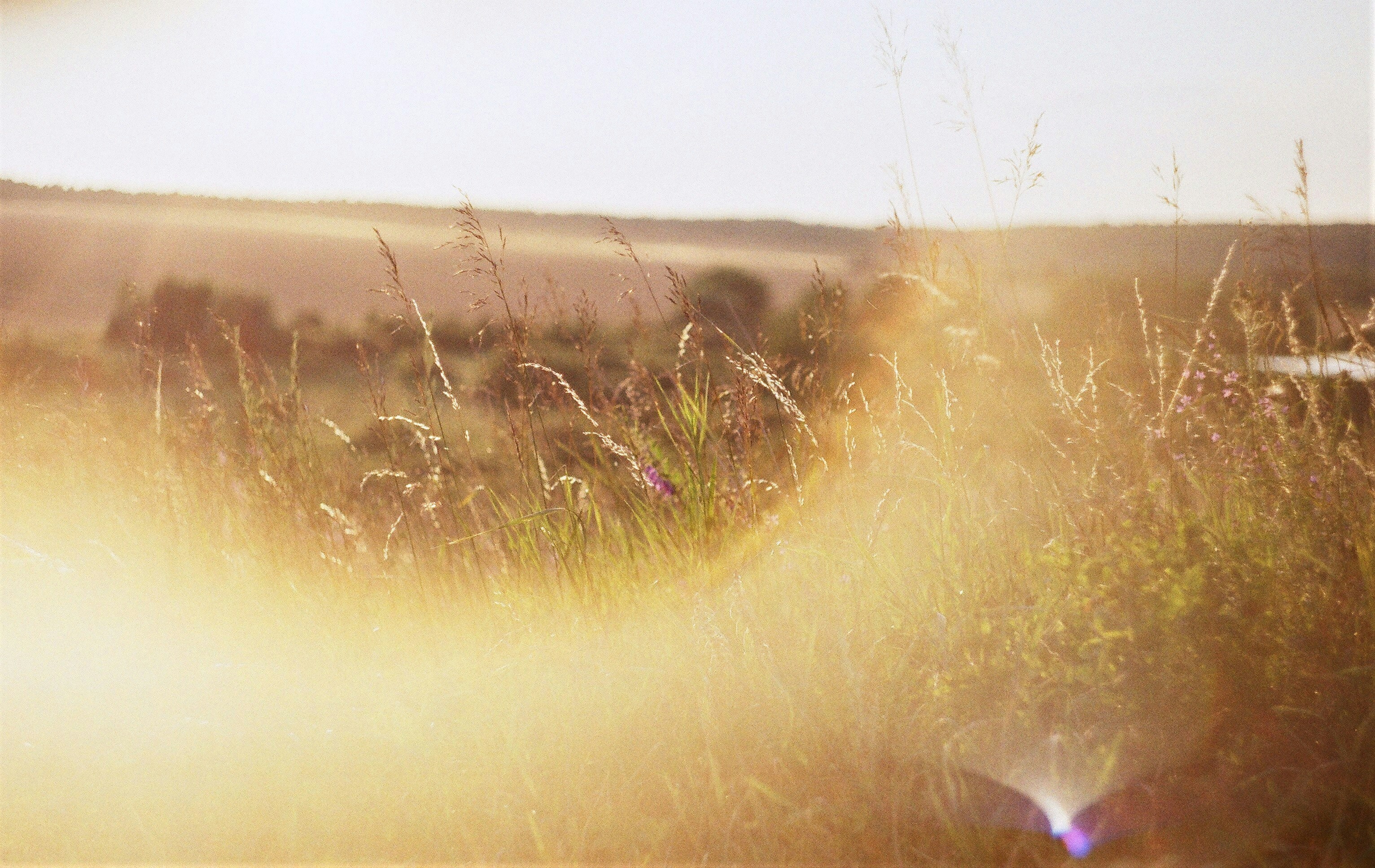 Photo by olgaanoshkina