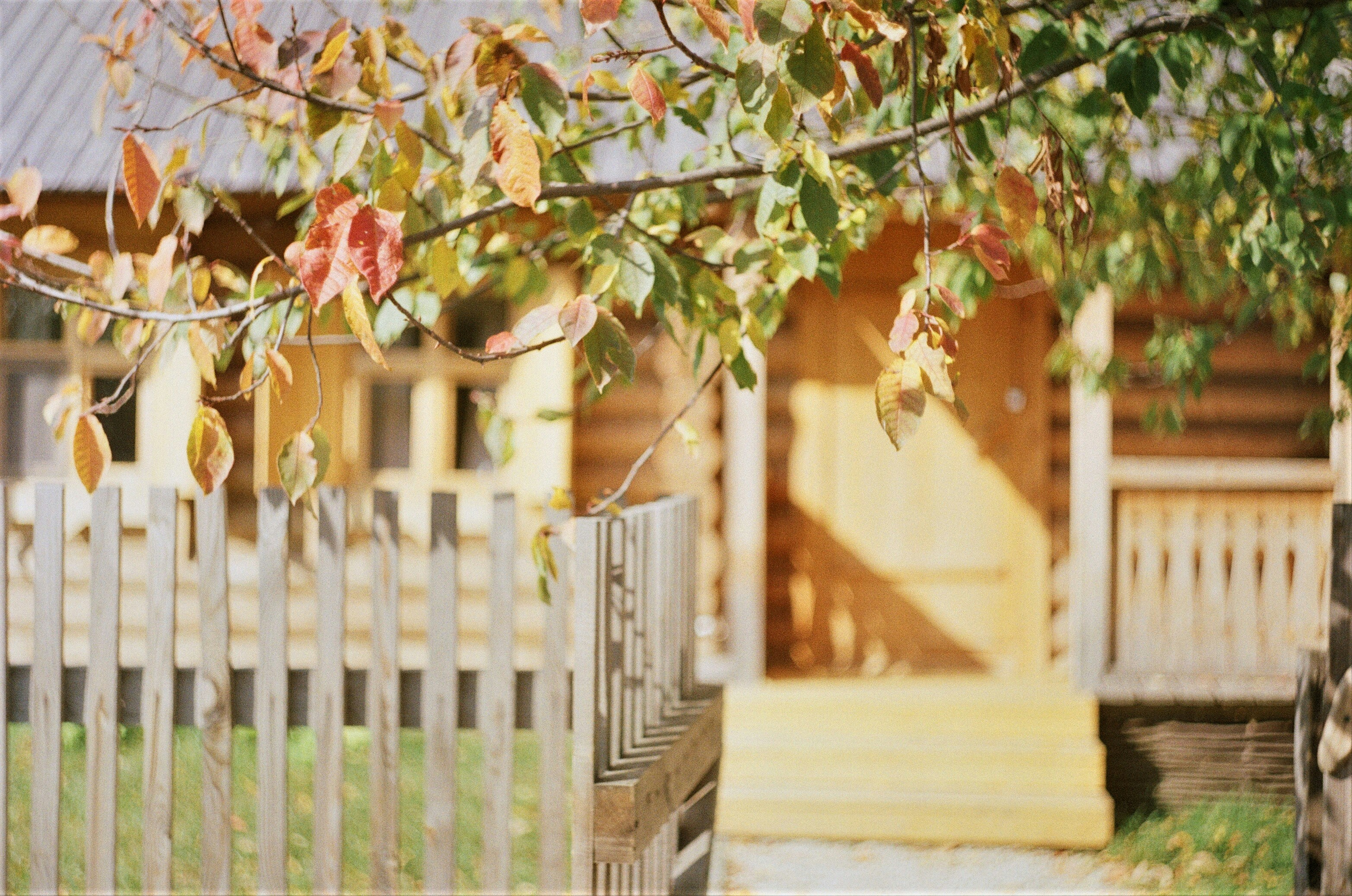 Photo by olgaanoshkina