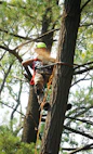 man in red and black shirt climbing on brown tree during daytime