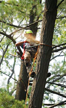 man in red and black shirt climbing on brown tree during daytime