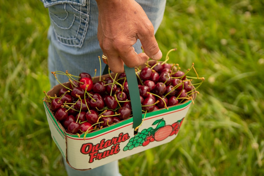 person holding red and green fruit in green and white basket