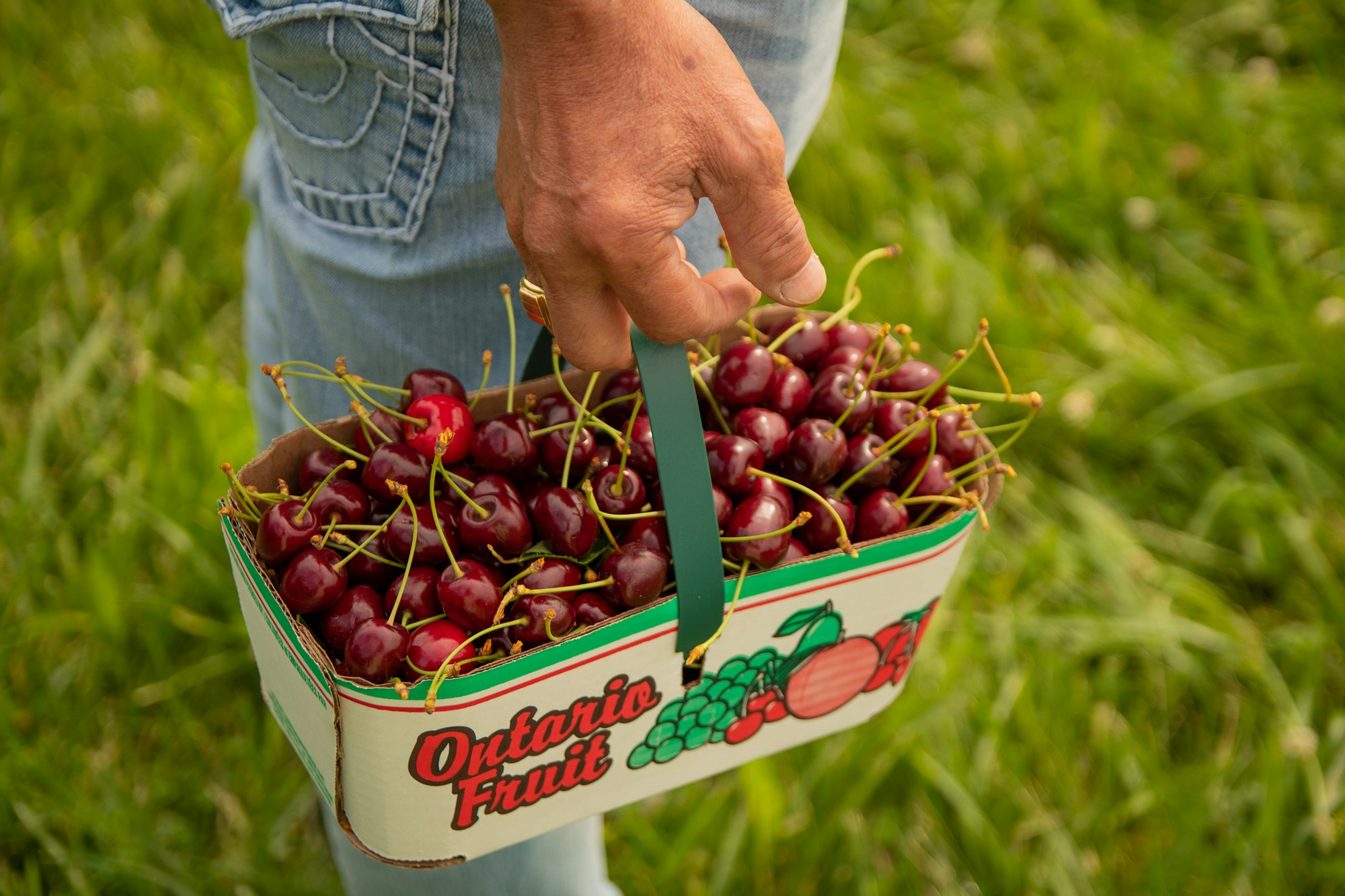 cherry-picking