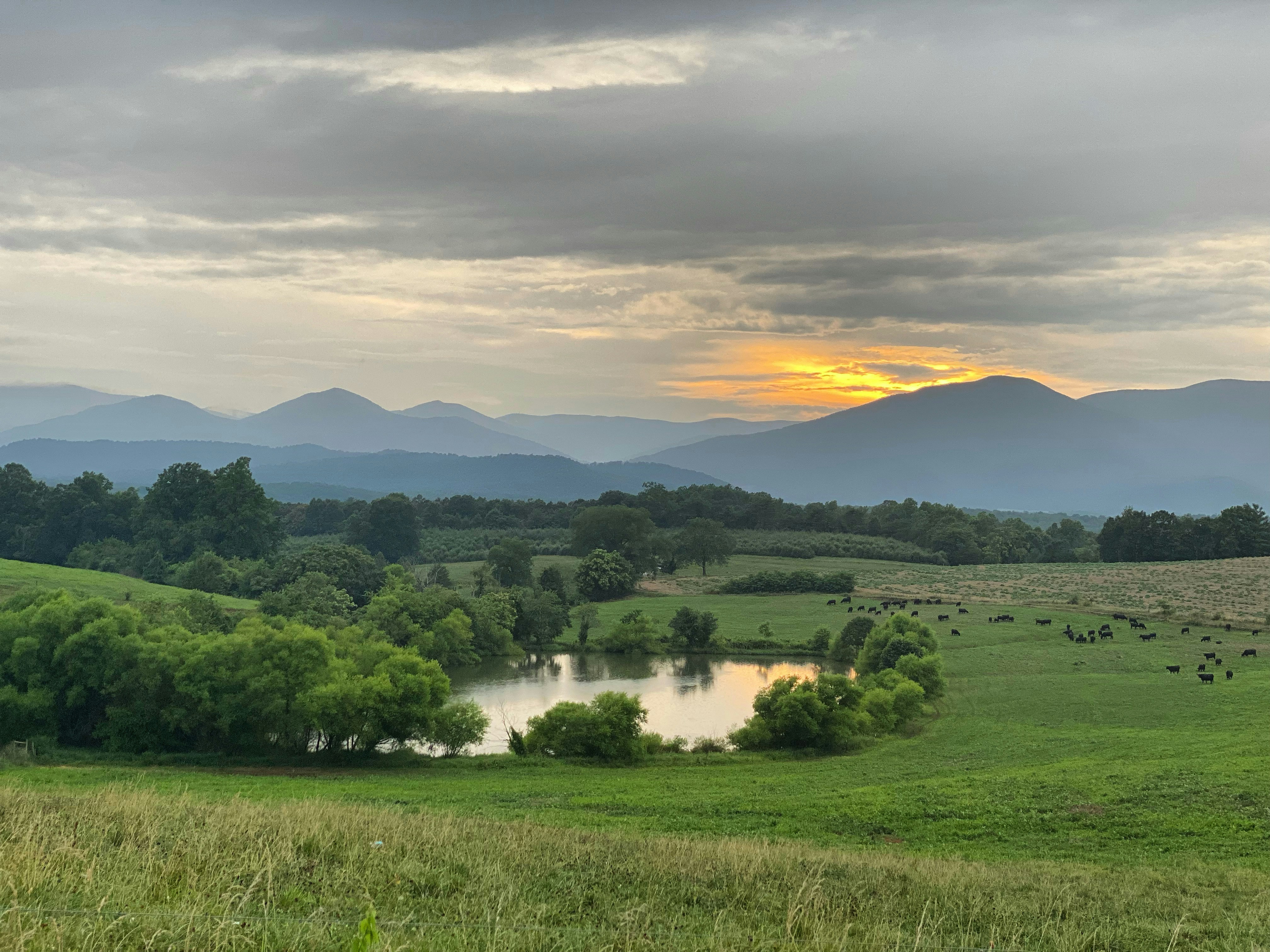 Alternative text for describing the image displayed