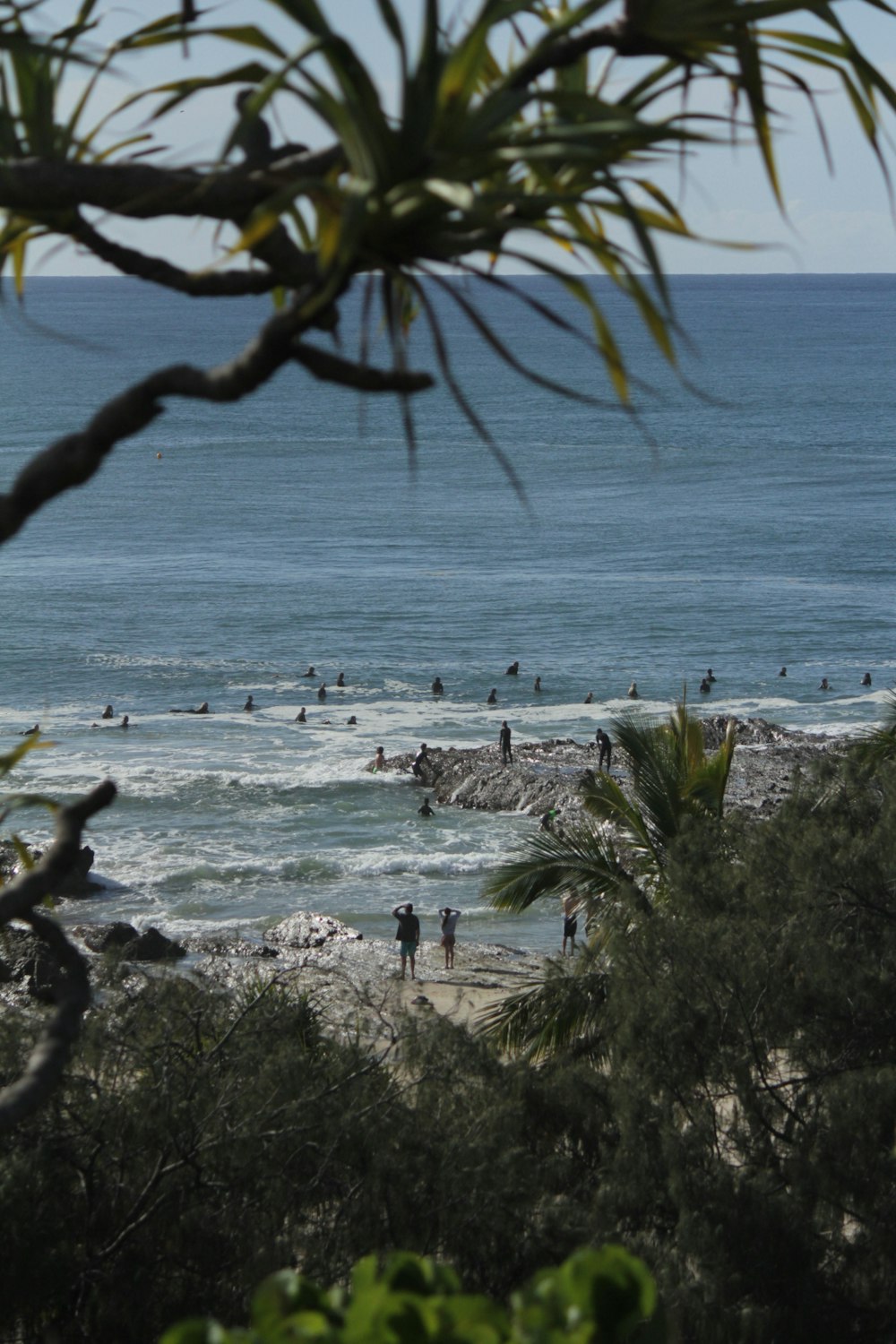 people on beach during daytime