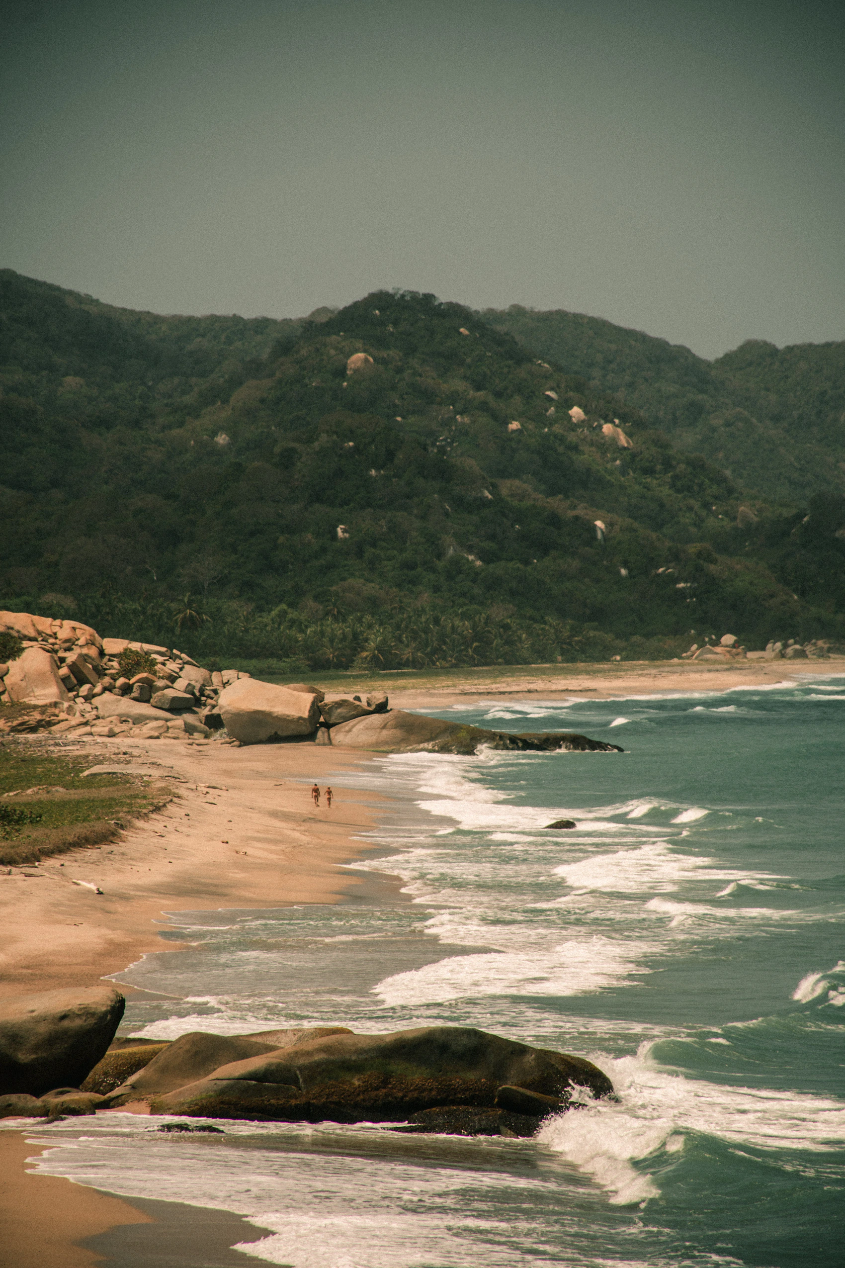 A forested headland meeting the Caribbean Sea in Tayrona National Park