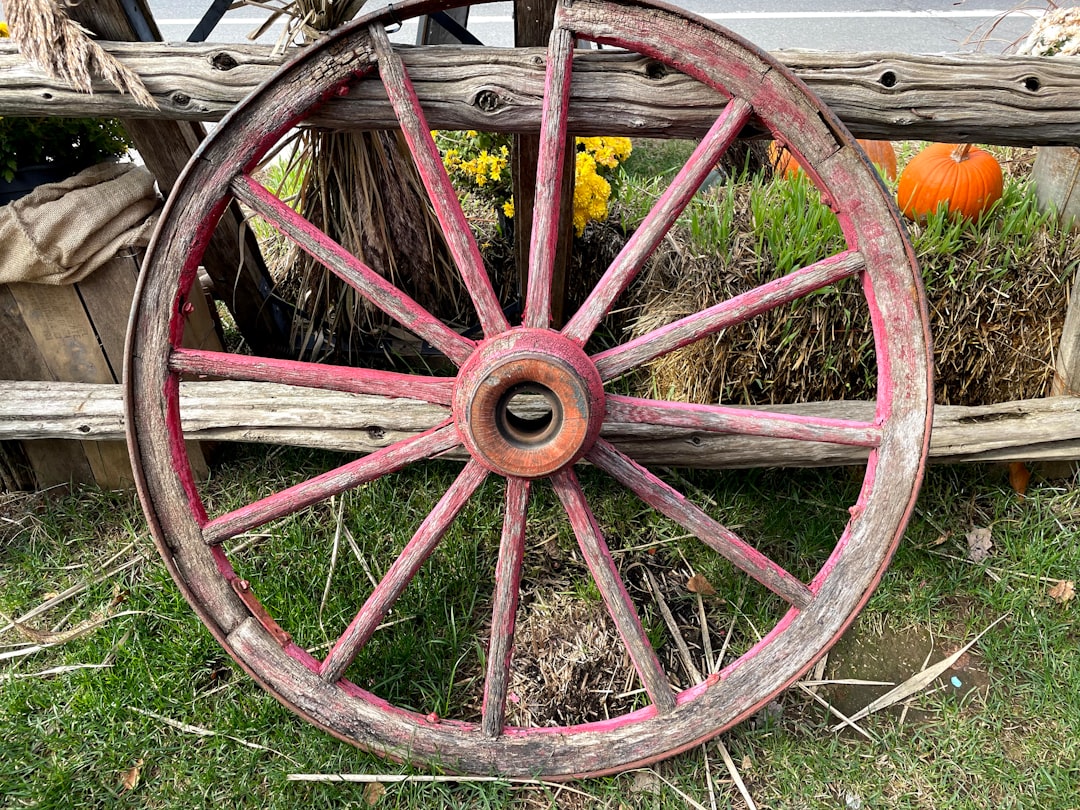 brown wooden wheel on green grass