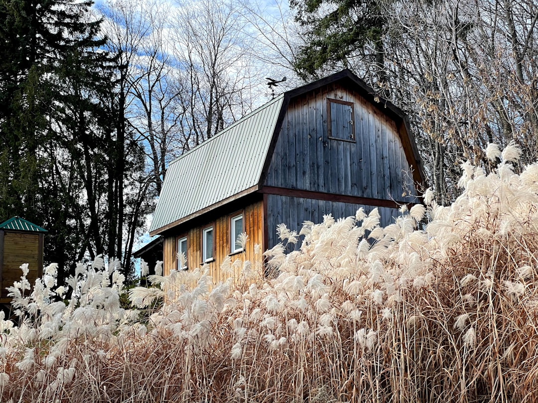 brown wooden house near trees during daytime