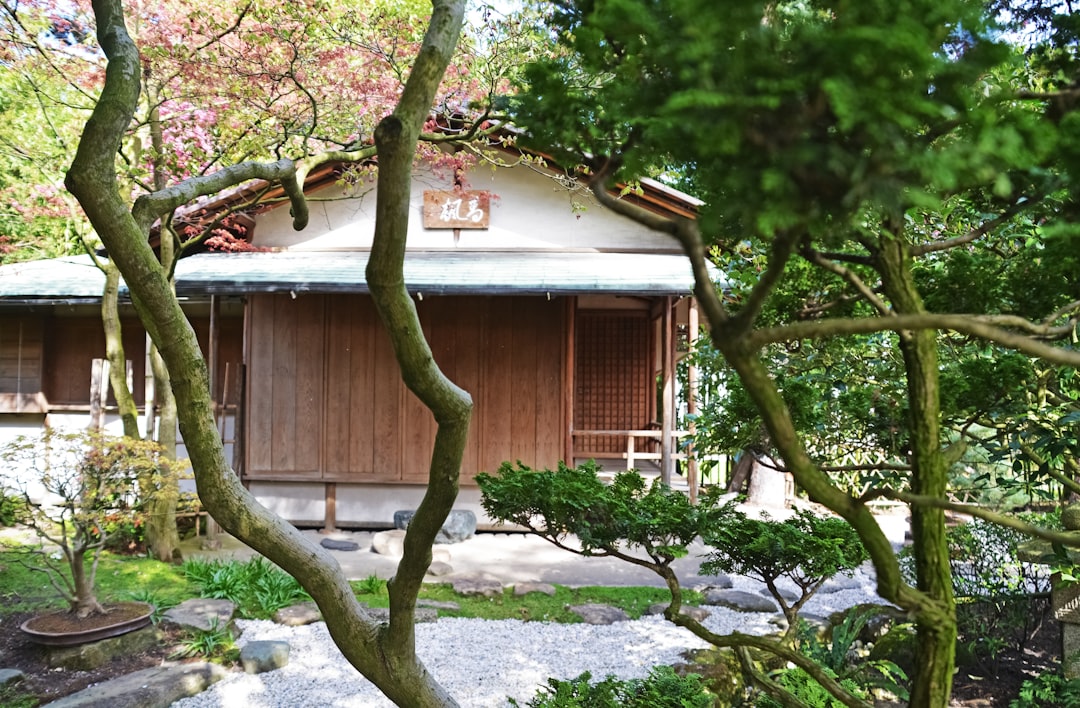 brown wooden house near green tree during daytime