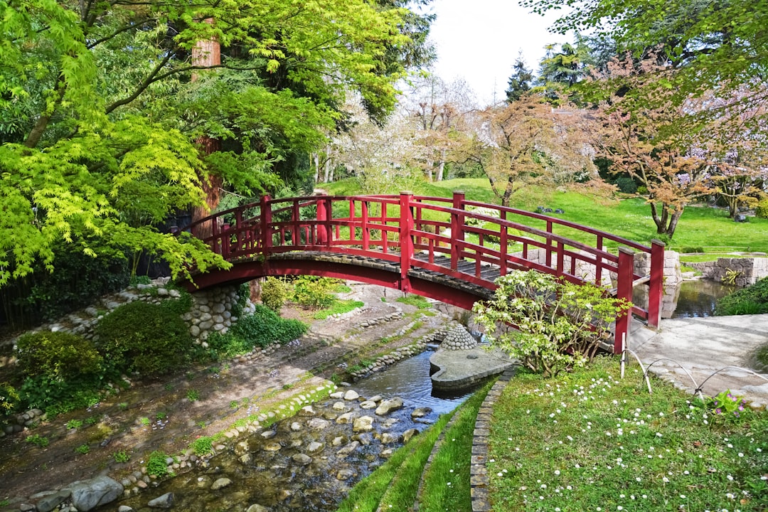 red metal bridge over river