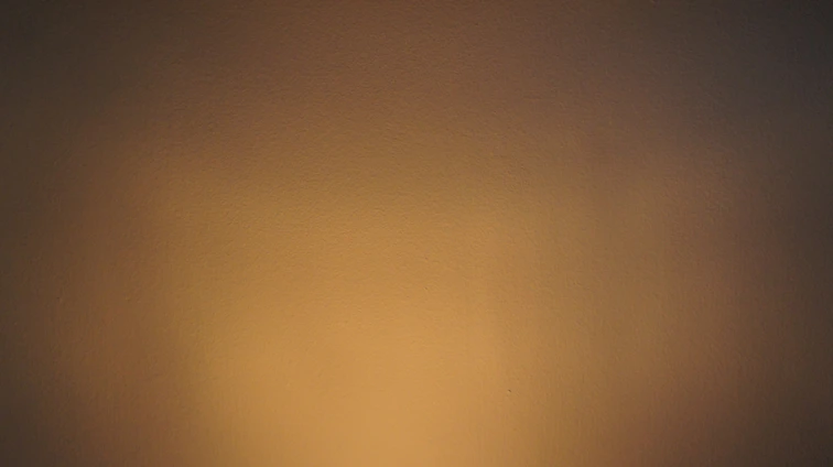 A close-up of skilled hands applying a flawless finish to a luxurious interior wall, bathed in soft natural light.